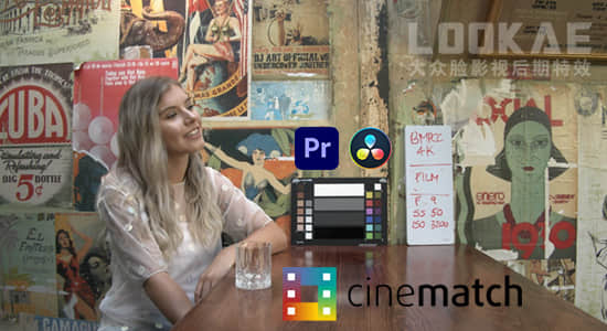 PR/达芬奇插件-摄像机色彩空间匹配调色插件 CineMatch v1.02 Win版