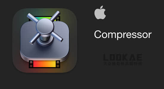 苹果视频压缩编码转码输出软件 Compressor 4.5 Mac 英/中文版 免费下载插图