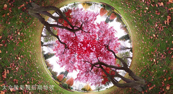 PS插件-图片扭曲变形全景图弯曲效果 Flexify 2.981 Win版