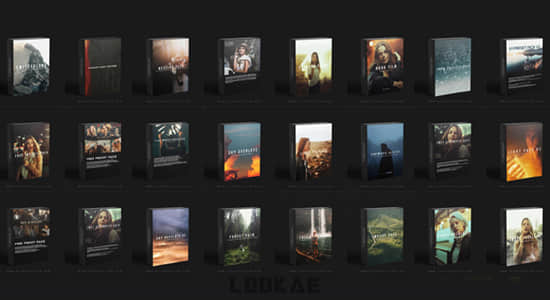 24套600个PS/LR调色预设视频叠加LUTS素材包 K1 Production The Whole Shop - 24 bundle