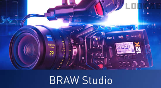 AE/PR/AME插件-将Blackmagic RAW格式视频素材导入软件 BRAW Studio v2.4.3 Win/Mac