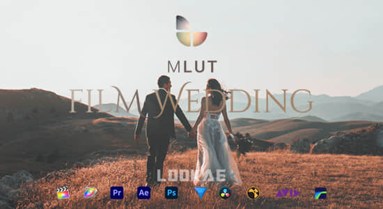25种欧美婚礼电影风格LUTS调色预设 mLUT Film Wedding