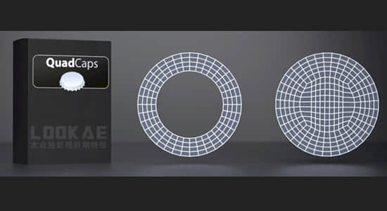 C4D插件-多边形网格封闭孔洞插件 C4DZone QuadCaps 1.0 Win