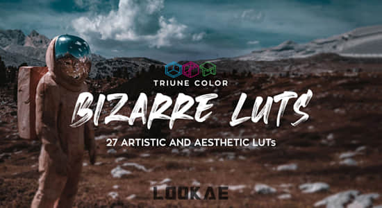 27组艺术美学奇异独特LUTS调色预设 Bizarre LUTs