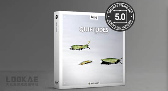 音效-202个大自然风吹安静环境环绕立体声音效 Quietudes 两套