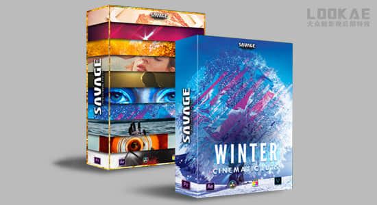 12套150个网红博主创意VLOG旅行季节复古环境人像大片LUTS调色预设 WINTER + ALL LUTS PACK