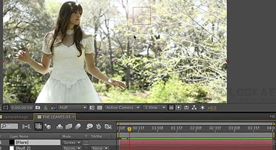 AE教程-表达式全面介绍学习 FXPHD AFX223 - After Effects Expressions Bootcamp