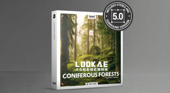 181组针叶林森林虫鸣鸟叫大自然环境环绕立体声无损音效 Coniferous Forests