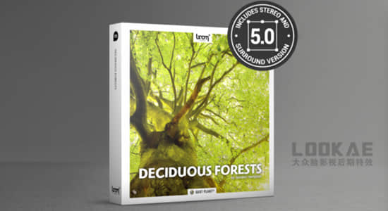 音效-192组大自然雨林森林环境虫鸣鸟叫环绕立体无损音效 Deciduous Forests