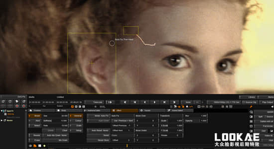 电影画面修复处理软件 Digital Vision Phoenix V2024.2.007 Win