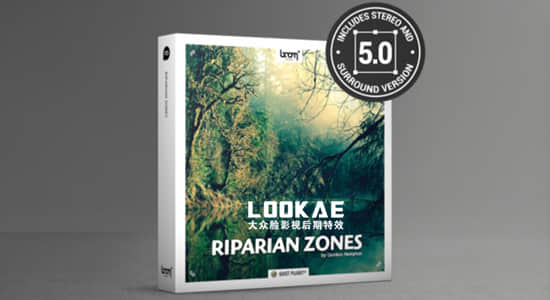 132组森林河边绿地虫鸣鸟叫大自然环绕声无损音效 Riparian Zones