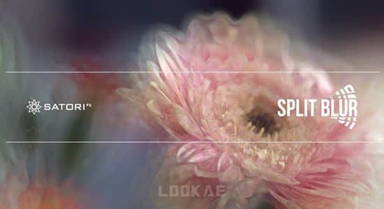 Mac苹果版-万花筒分割模糊迷幻视觉特效AE/PR插件 Split Blur v1.3.2