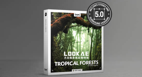 153组热带雨林虫鸣鸟叫大自然森林环绕音无损音效 Tropical Forests