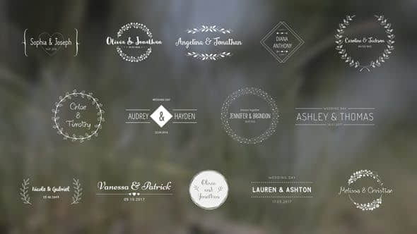 AE模板-复古时尚可爱浪漫爱情婚礼新郎新娘姓名婚期标题动画