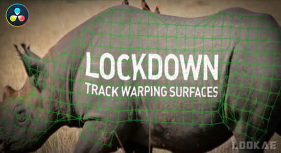 达芬奇插件-物体表面跟踪特效合成高级工具 Lockdown v2.4.3 Win/Mac