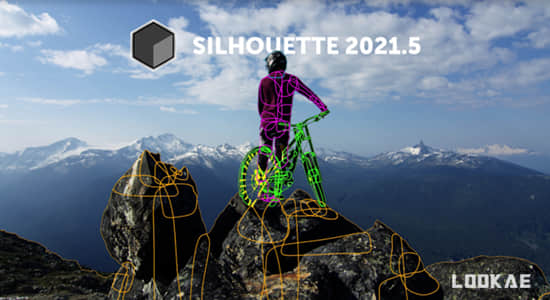 影视后期ROTO跟踪抠像合成软件 Silhouette 2021.5.0 Win + AE/PR/VEGAS/OFX/达芬奇插件