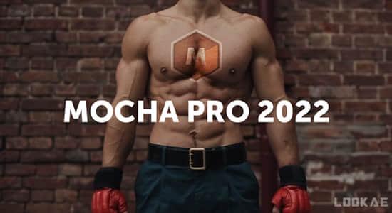 摄像机反求平面跟踪摩卡独立软件 Mocha Pro 2022.5 v9.5.2 Win