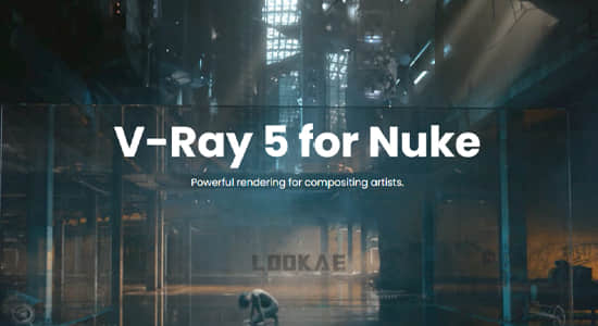 高级渲染器Nuke插件 V-Ray 5.00.00 for Nuke 12.2 Win