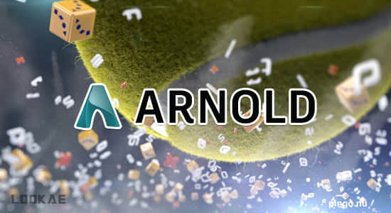 C4D插件-阿诺德Arnold渲染器 SolidAngle C4DtoA 4.7.9.1 Win