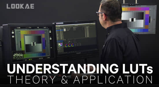 达芬奇教程-使用LUTs进行视频调色学习 Understanding LUTs Theory and Application