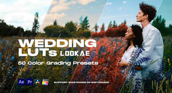 100种欧美婚礼调色LUTs预设 Colorify Wedding LUTs