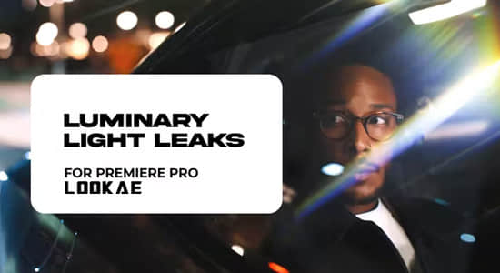 PR模板-唯美漂亮镜头耀斑炫光特效动画 Luminary Light Leaks插图