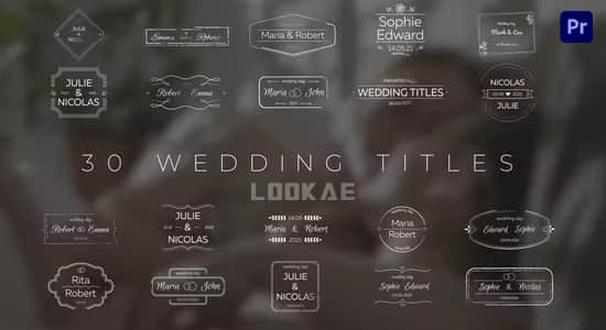 PR模板-30种浪漫爱情小清新线条婚礼标题动画 Wedding Titles插图