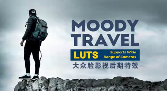 30组户外旅行游玩VLOG记录LUTs调色预设 Moody Travel LUTs