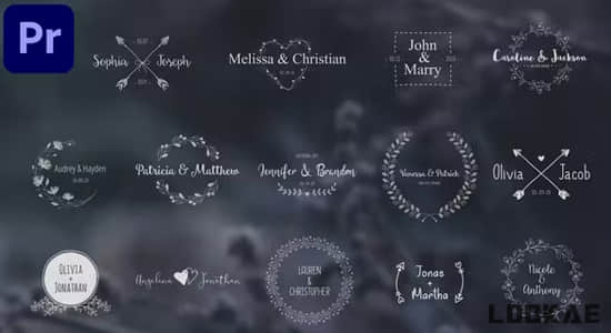 PR模板-14种浪漫小清新藤蔓图形爱情婚礼文字标题动画 Wedding Titles Pack