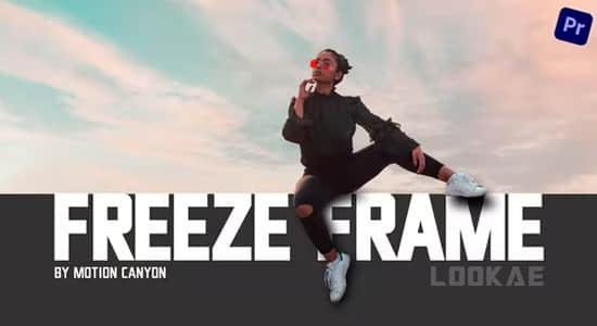 PR模板-现代时尚画面静止定格图文介绍展示动画 Exquisite Freeze Frame