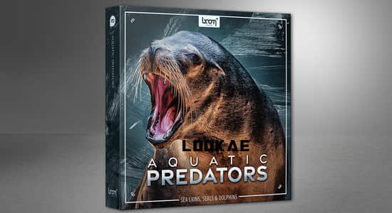 1085种海狮海豹海豚海象动物无损音效 Aquatic Predator