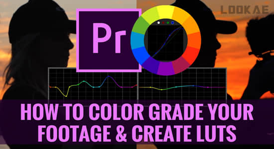 PR教程-视频调色基础学习课程(英文字幕) Color Grading & Creating Luts