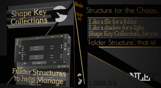 形态键整理Blender插件 Shape Key Collections V1.00