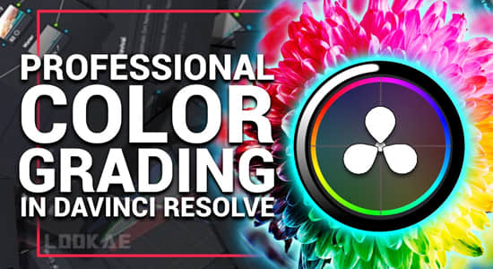 达芬奇专业视频调色高级学习教程 Pro Color Grading in DaVinci Resolve