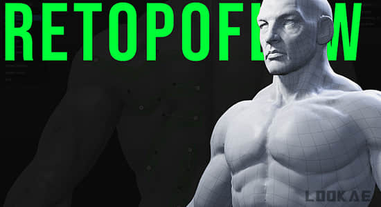 RetopoFlow V3.4.3 三维模型拓扑Blender插件