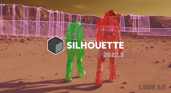 Silhouette 2022.5.5 CE Win影视后期ROTO跟踪抠像合成软件AE/PR/达芬奇/VEGAS/OFX插件