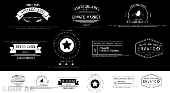 PR模板-简洁图形LOGO标题标签徽章动画 Vintage Label Pack