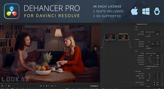 复古电影胶片噪点刮痕光效特效达芬奇插件 Dehancer Pro OFX 6.2.0 CE Win一键安装