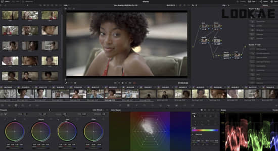 达芬奇18教程-视频剪辑调色快速入门基础学习 Davinci Resolve 18 Video Editing Course – Masterclass