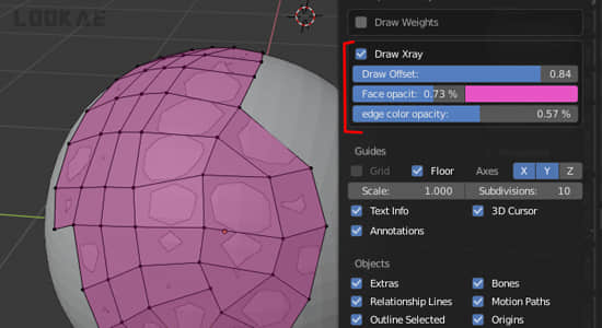 模型顶部网格绘制Blender插件 Draw Xray V4.2.2