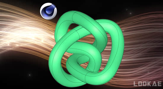 逼真动态杂乱绳子线缆线条制作C4D插件 Topowire v1.3+使用教程