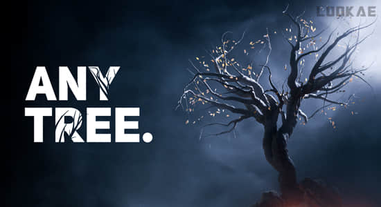 自定义植物形状外观Blender插件 Anytree v2.0.2 – Trees With Any Shape