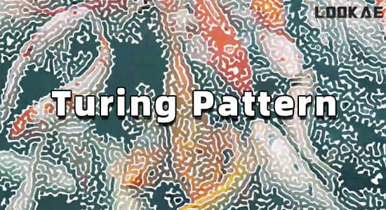 中文汉化版-创意抽象图灵纹理效果AE插件 Turing Pattern v1.1 Win