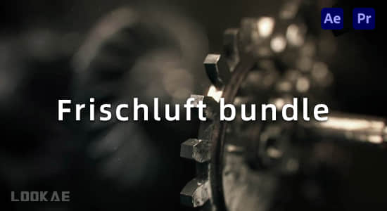 AE/PR插件-Frischluft bundle 2023.6 CE Win 镜头景深虚焦模糊曲线调色发光特效「AE/PR插件」-sunper资源网