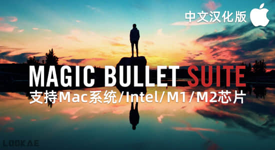 Mac苹果中文汉化-红巨人降噪磨皮美颜调色套装AE/PR插件 MBS 2023.2.1