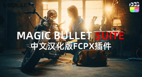 Mac苹果中文汉化-红巨人降噪磨皮美颜调色FCPX插件 MBS 2023.2.1