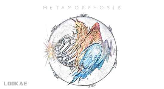 2300种烟花能量冲击发射飞行无损音效 Metamorphosis