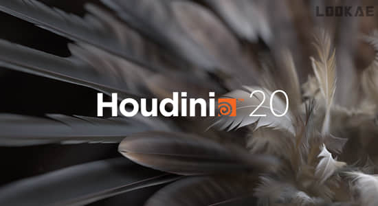 高效实用三维电影特效制作软件 SideFX Houdini FX 20.0.547 Win