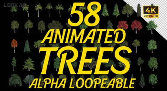AE模板-58个植物树木循环动画视频素材 Animated Trees Alpha Loop Pack 4K
