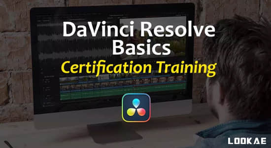 达芬奇教程-视频调色基础学习 DaVinci Resolve Basics Training